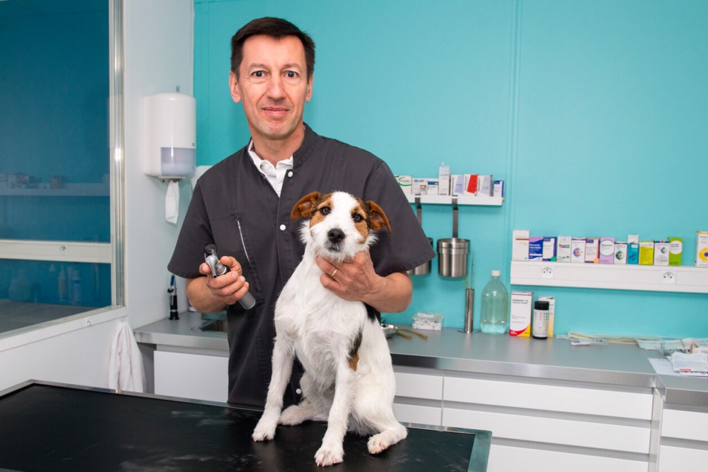 dr hardy veterinaire tours