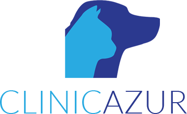 Clinicazur